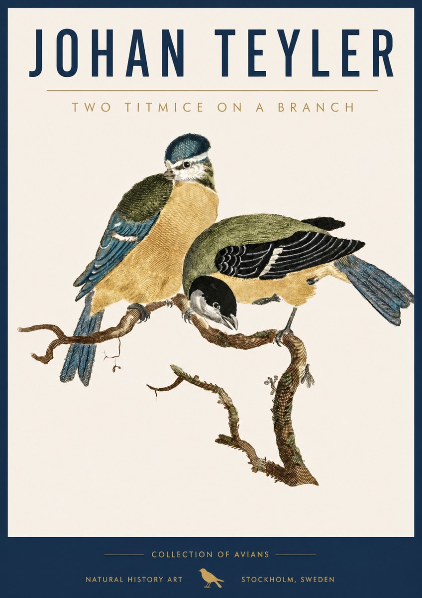 Johan Teyler Two Titmice on a Branch No5 - Juliste