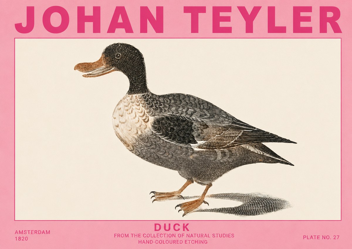 Johan Teyler Duck I No5 - Juliste
