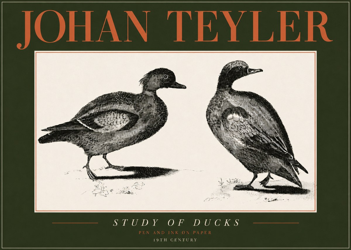 Johan Teyler Study of Ducks No4 - Juliste