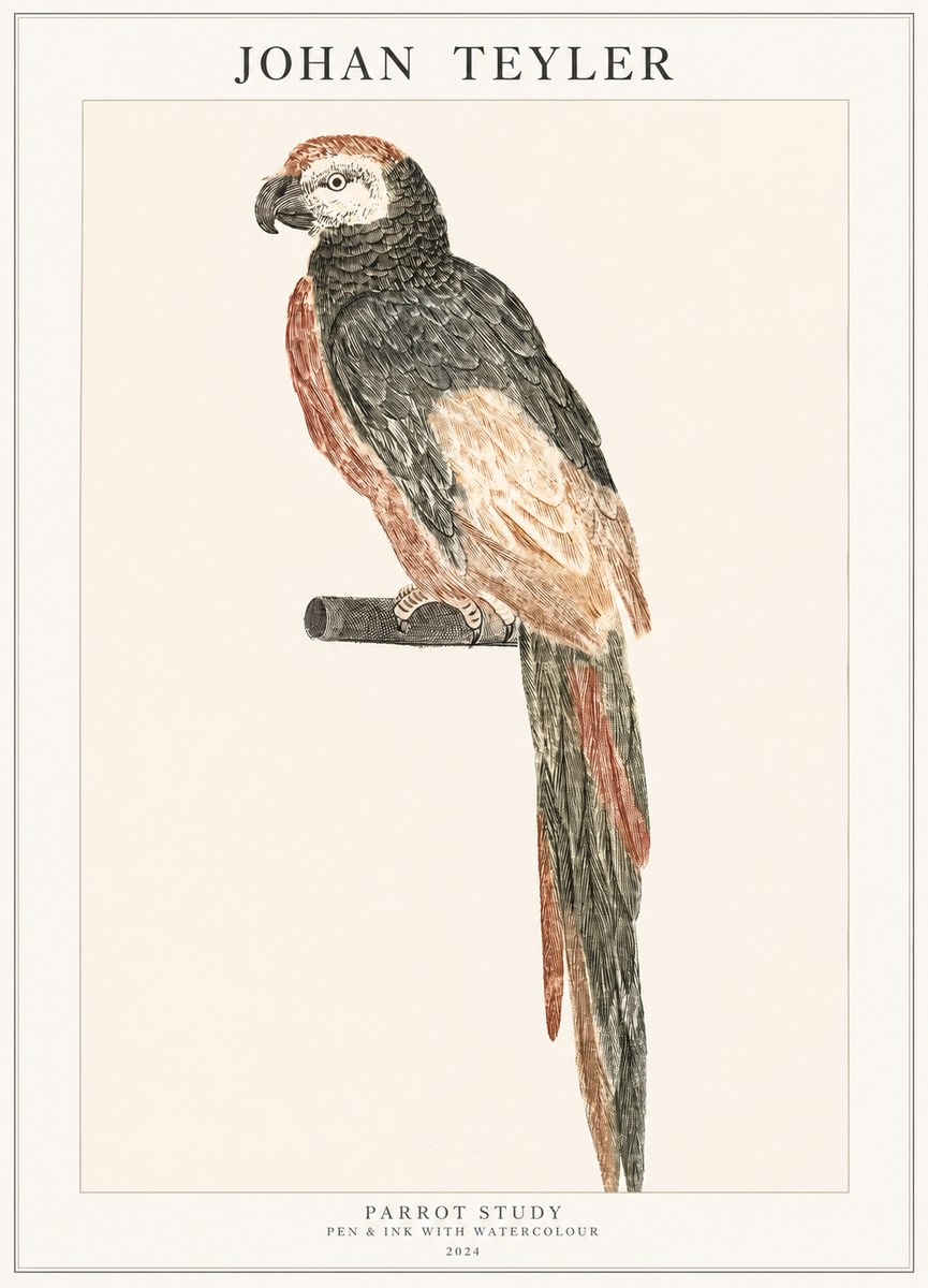 Johan Teyler Parrot Study II No1 - Juliste