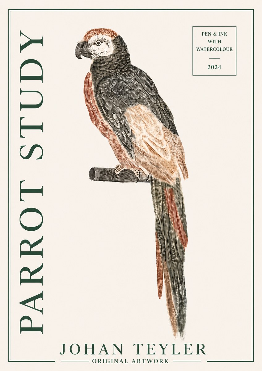 Johan Teyler Parrot Study II No3 - Juliste