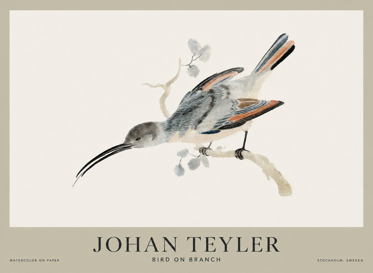 Johan Teyler Bird on Branch I No1 - Juliste