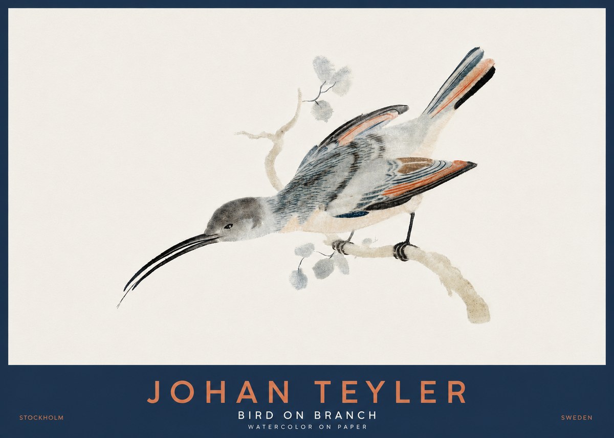 Johan Teyler Bird on Branch I No2 - Juliste