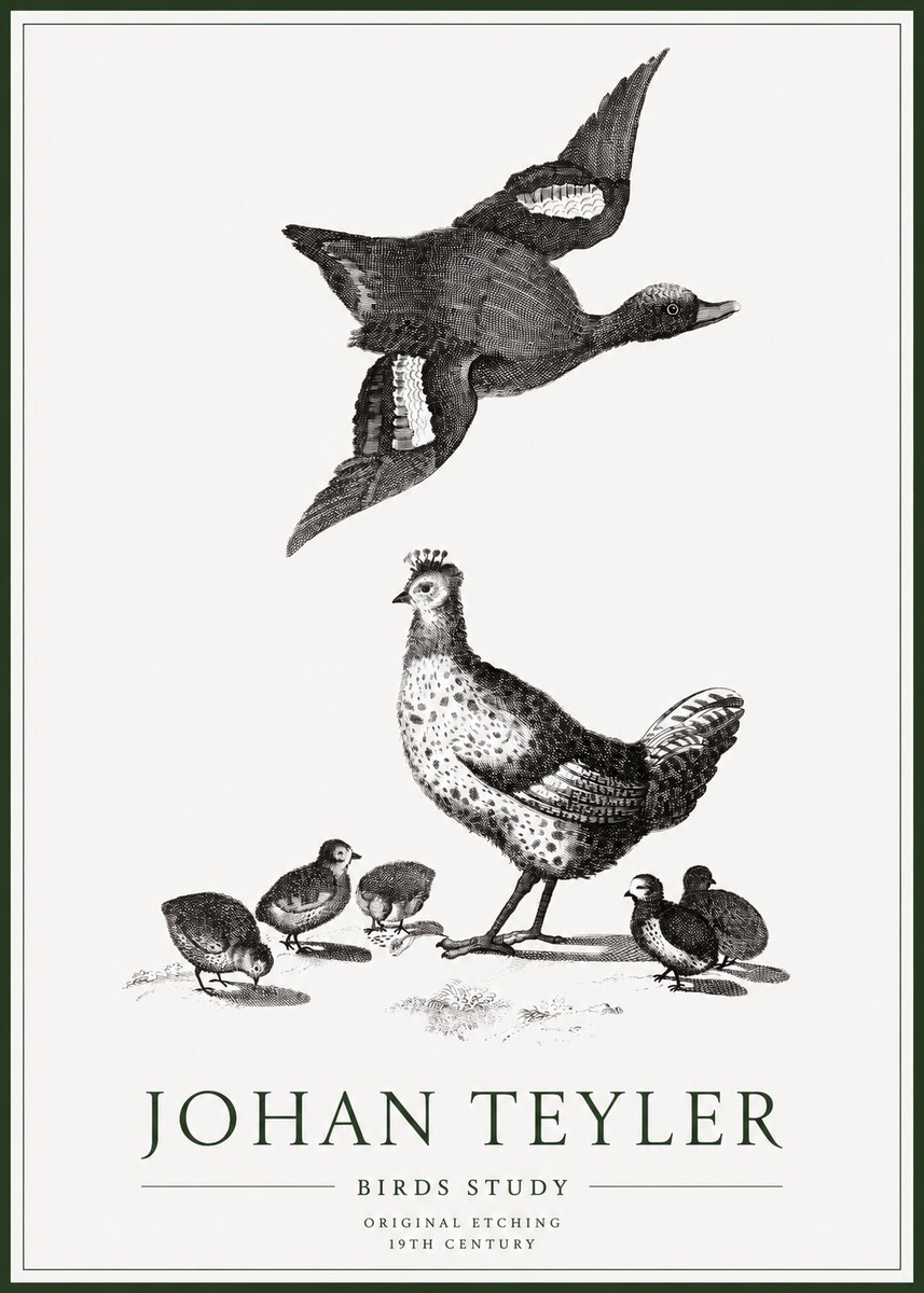 Johan Teyler Birds Study No1 - Juliste