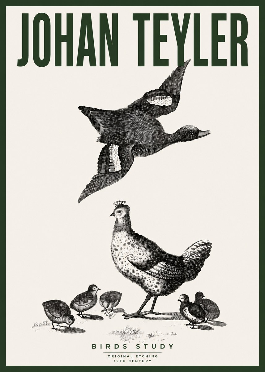 Johan Teyler Birds Study No4 - Juliste