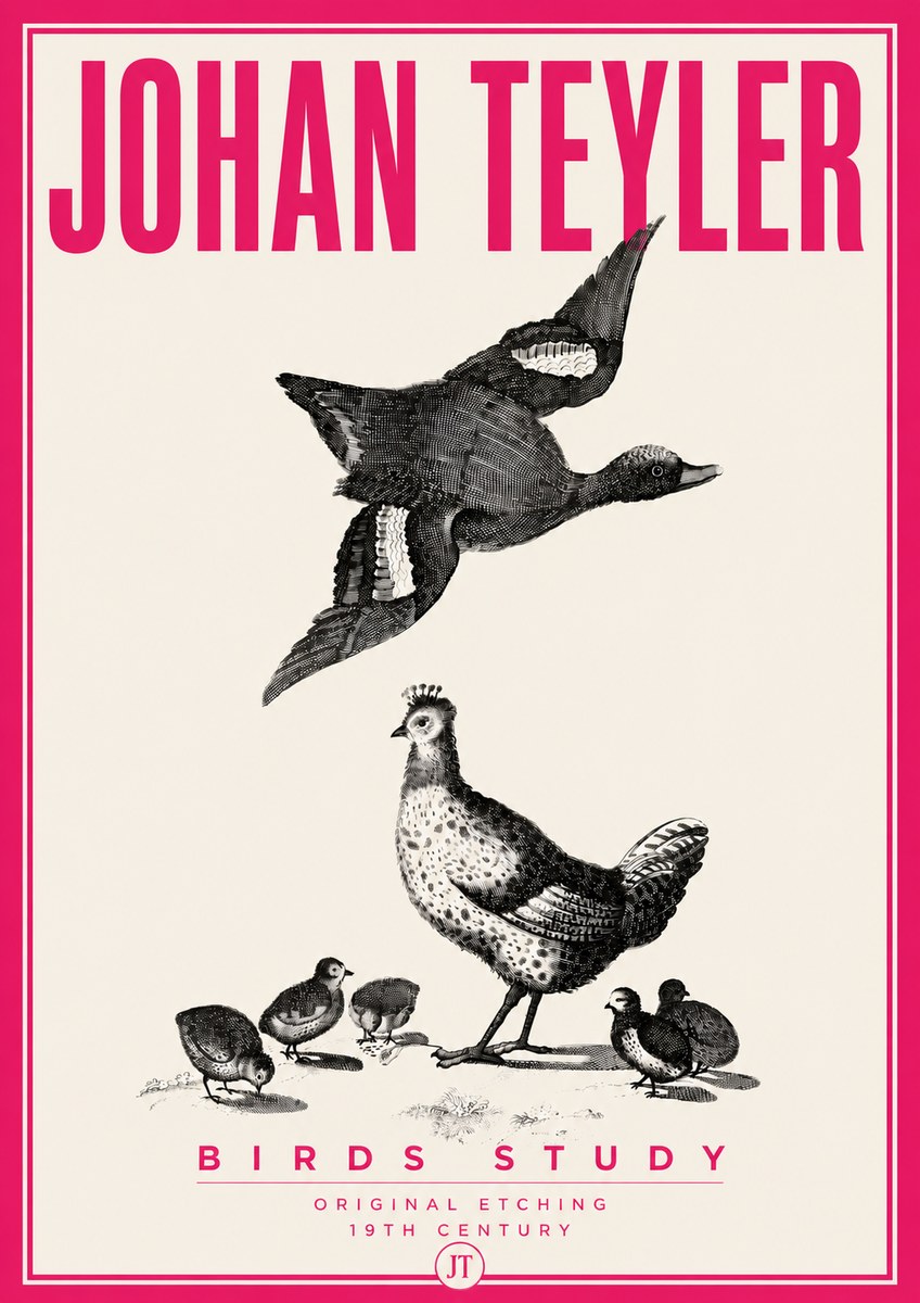 Johan Teyler Birds Study No6 - Juliste