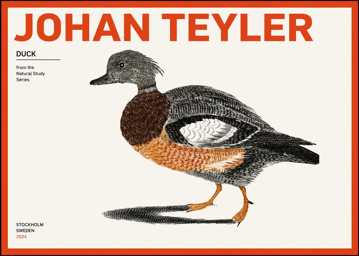 Johan Teyler Duck II No2 - Juliste