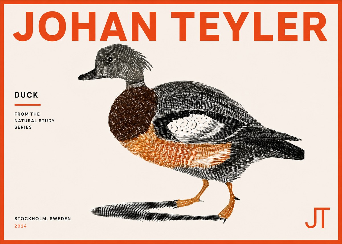 Johan Teyler Duck II No5 - Juliste