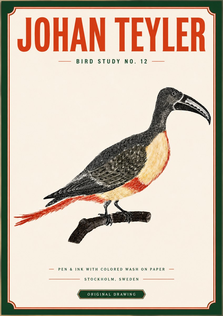 Johan Teyler Bird Study No. 12 - Original Drawing No3 - Juliste