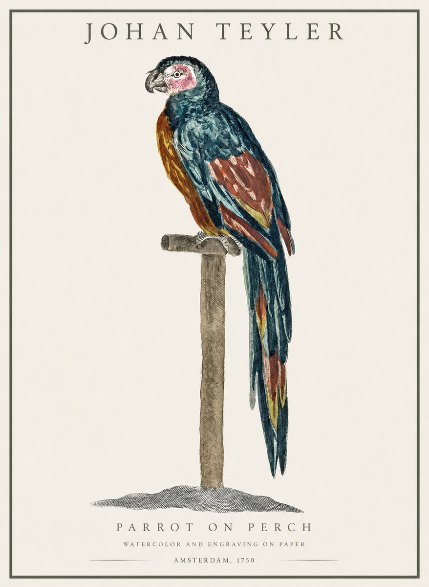 Johan Teyler Parrot on Perch No1 - Juliste