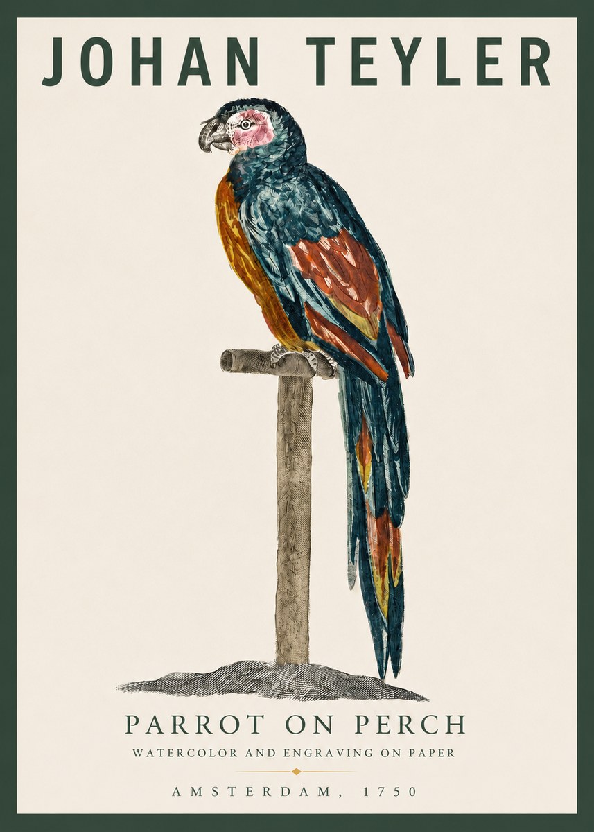 Johan Teyler Parrot on Perch No3 - Juliste