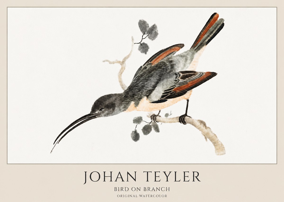 Johan Teyler Bird on Branch II No1 - Juliste