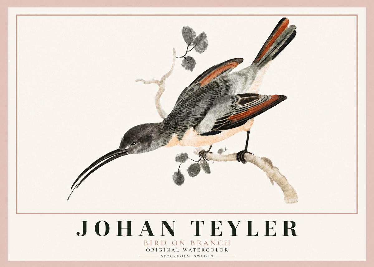 Johan Teyler Bird on Branch II No3 - Juliste
