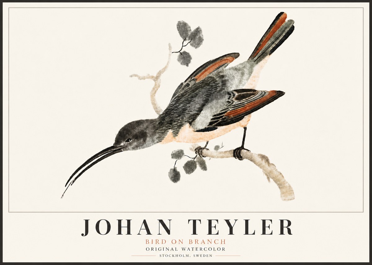 Johan Teyler Bird on Branch II No5 - Juliste