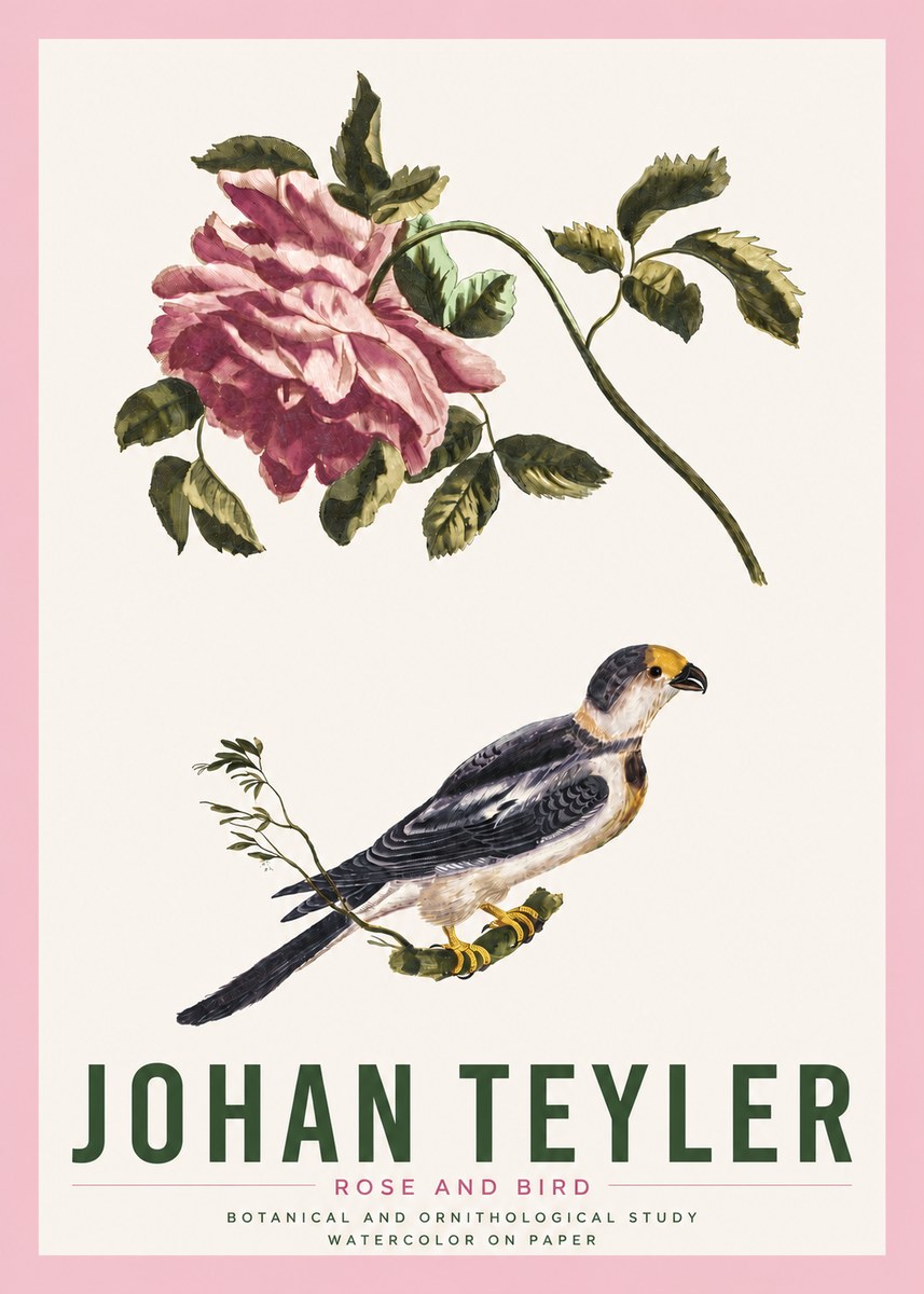 Johan Teyler Rose and Bird I No4 - Juliste