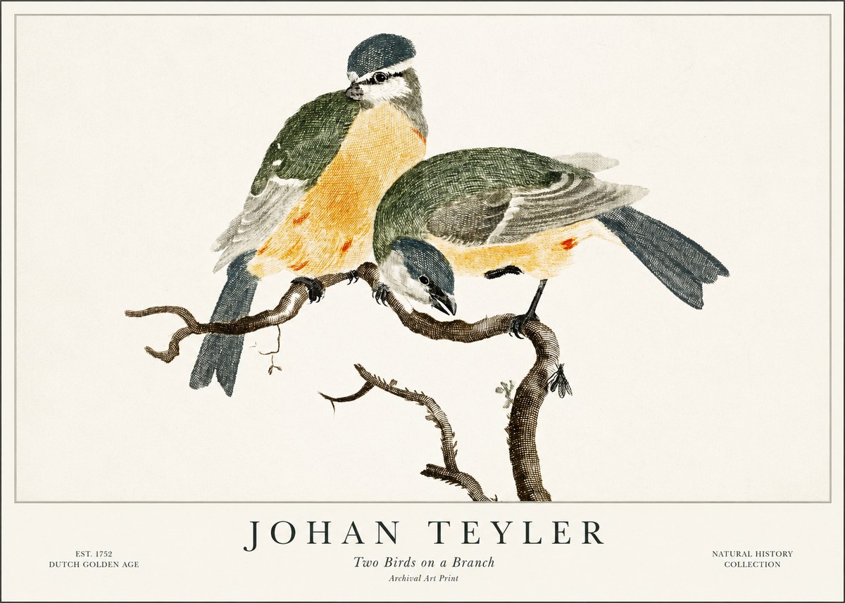 Johan Teyler Two Birds on a Branch No1 - Juliste