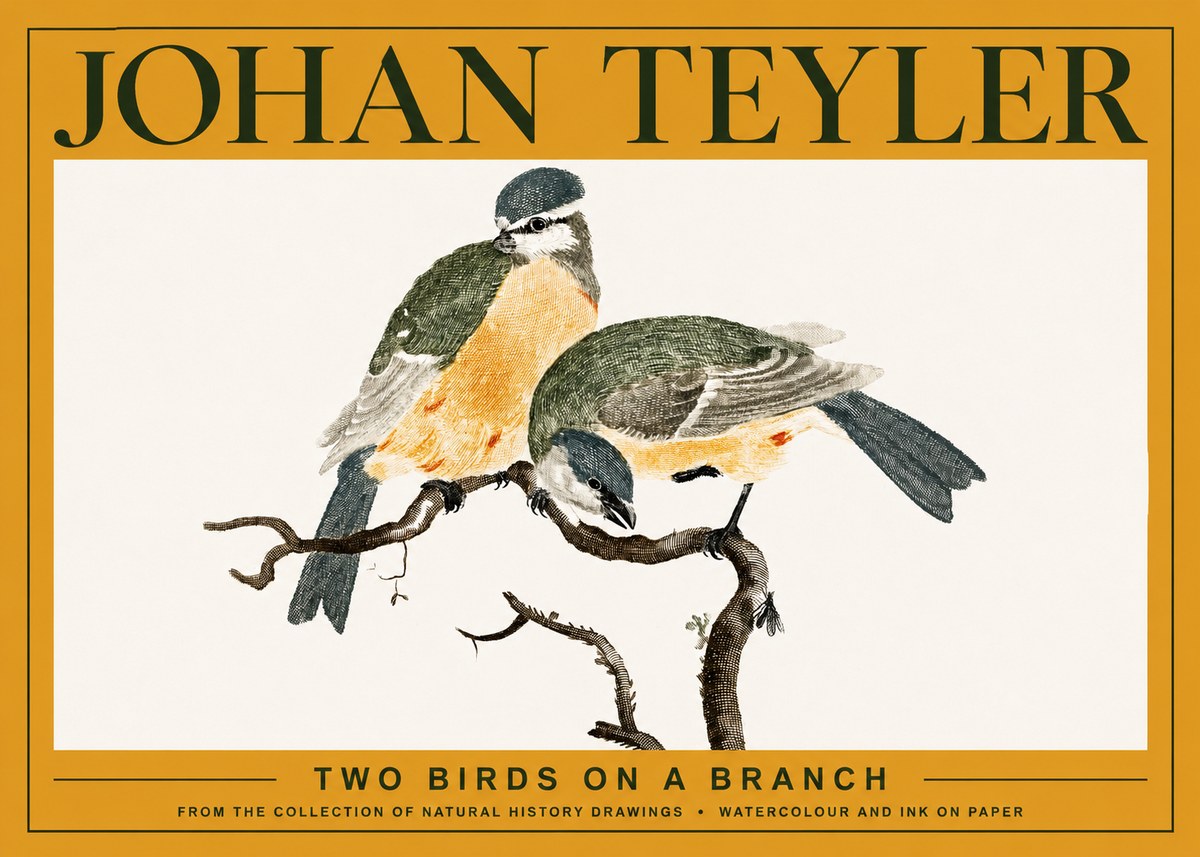 Johan Teyler Two Birds on a Branch No3 - Juliste