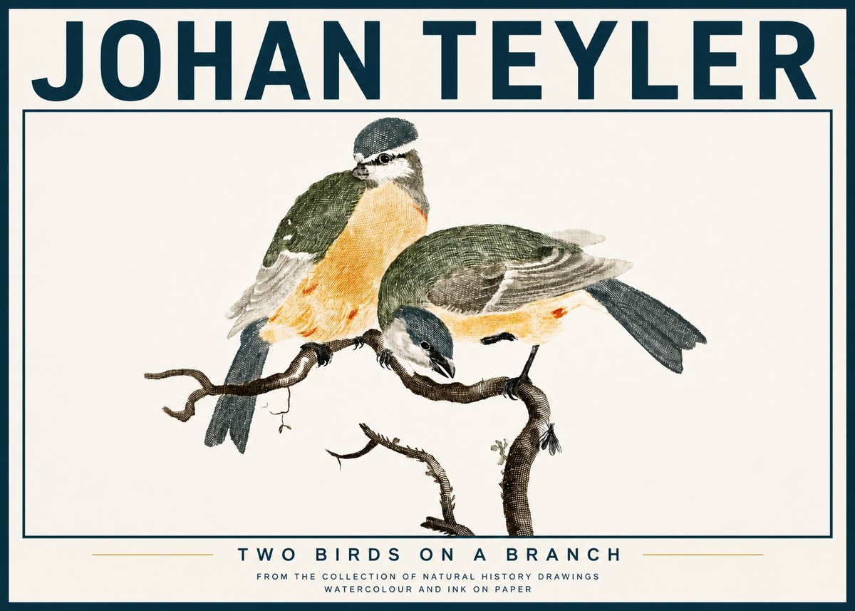 Johan Teyler Two Birds on a Branch No4 - Juliste