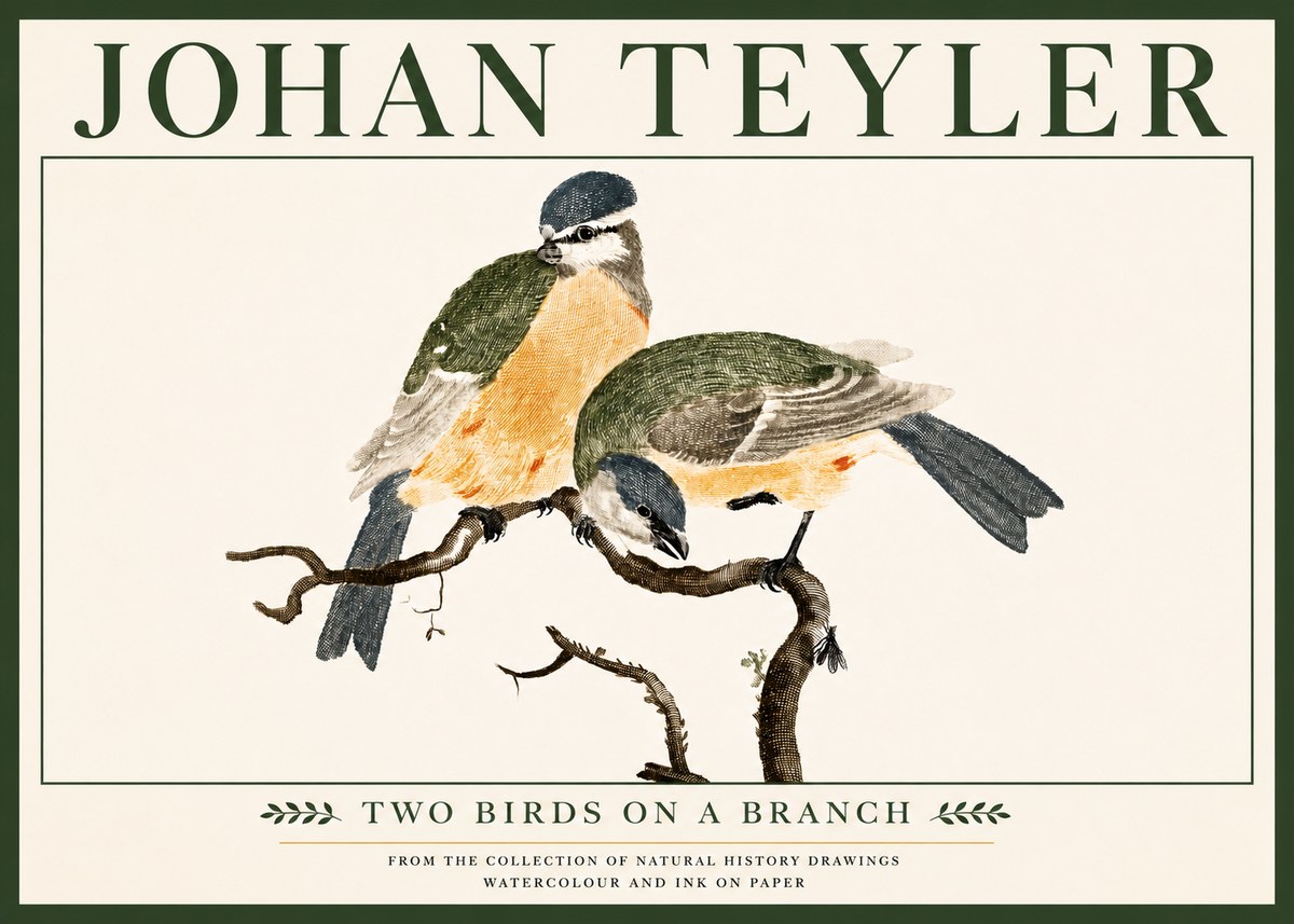 Johan Teyler Two Birds on a Branch No5 - Juliste