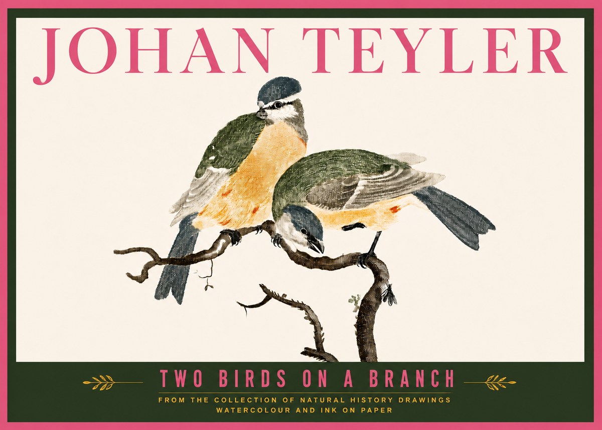 Johan Teyler Two Birds on a Branch No6 - Juliste
