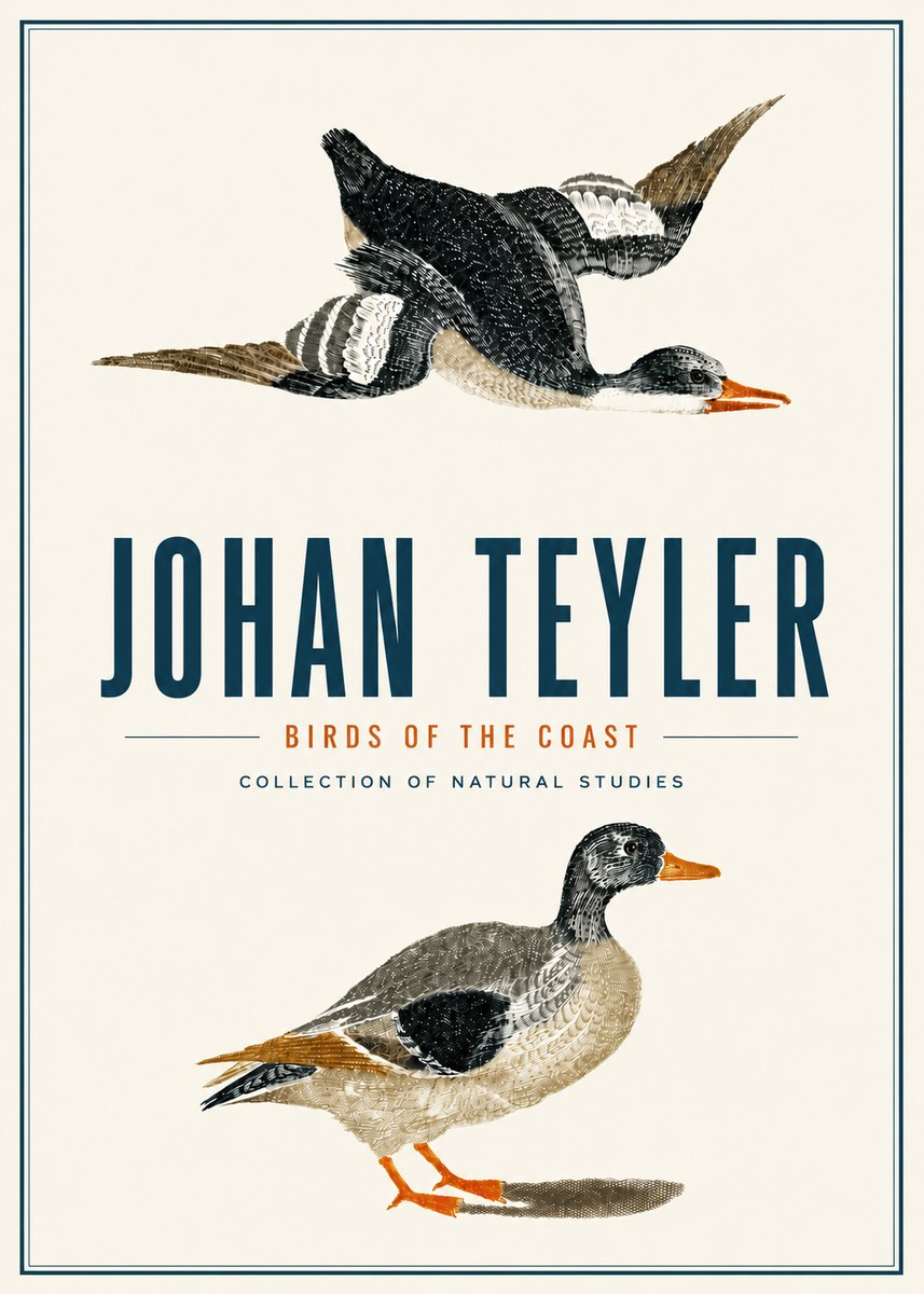 Johan Teyler Birds of the Coast No4 - Juliste
