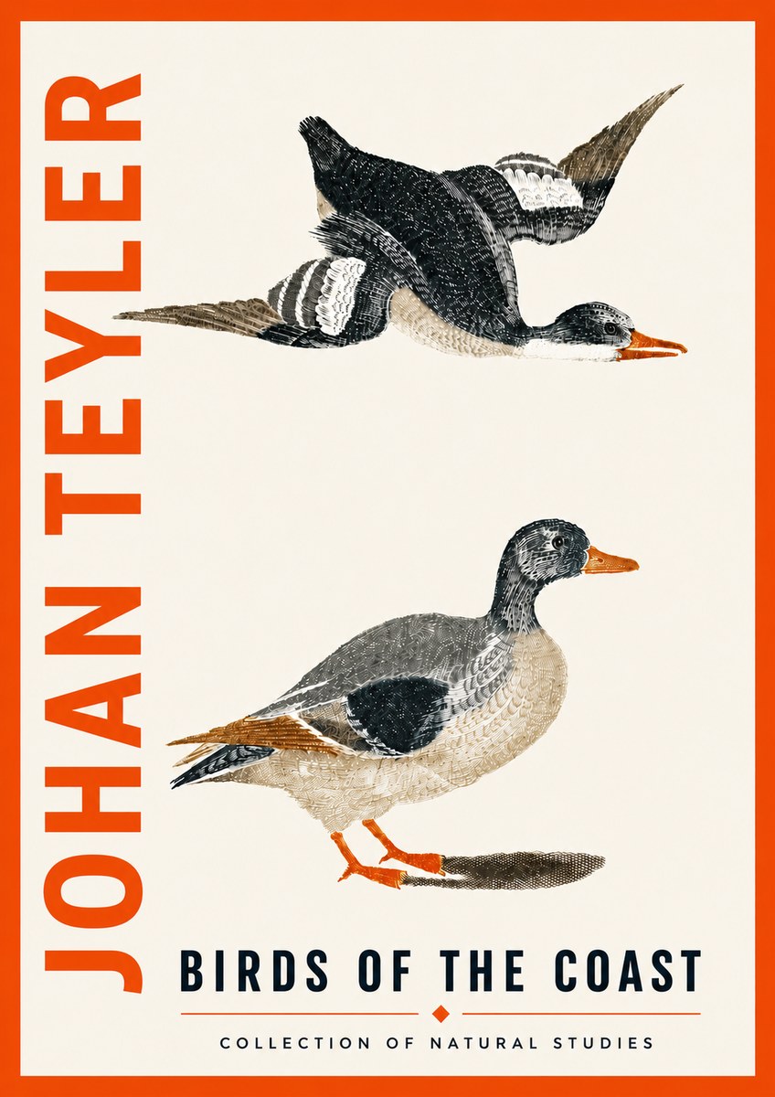 Johan Teyler Birds of the Coast No5 - Juliste