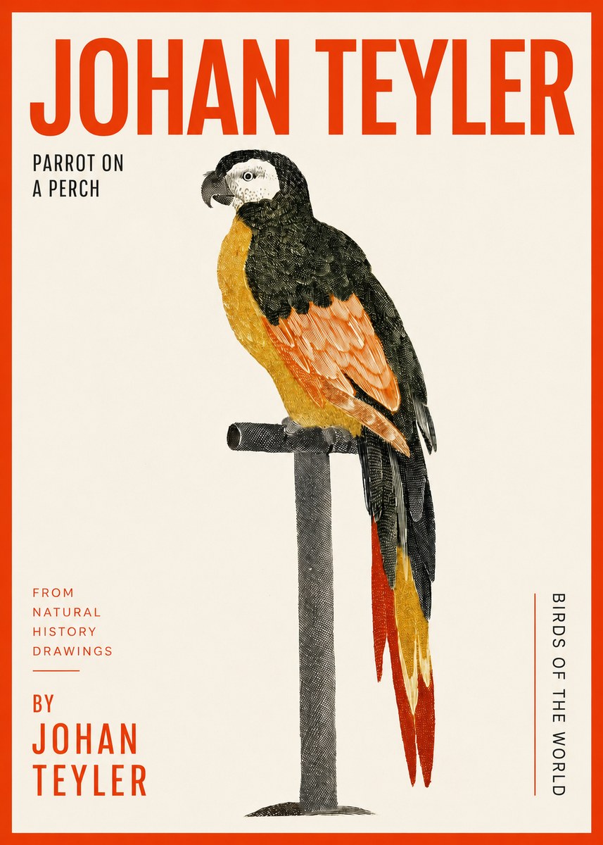 Johan Teyler Parrot on a Perch No2 - Juliste