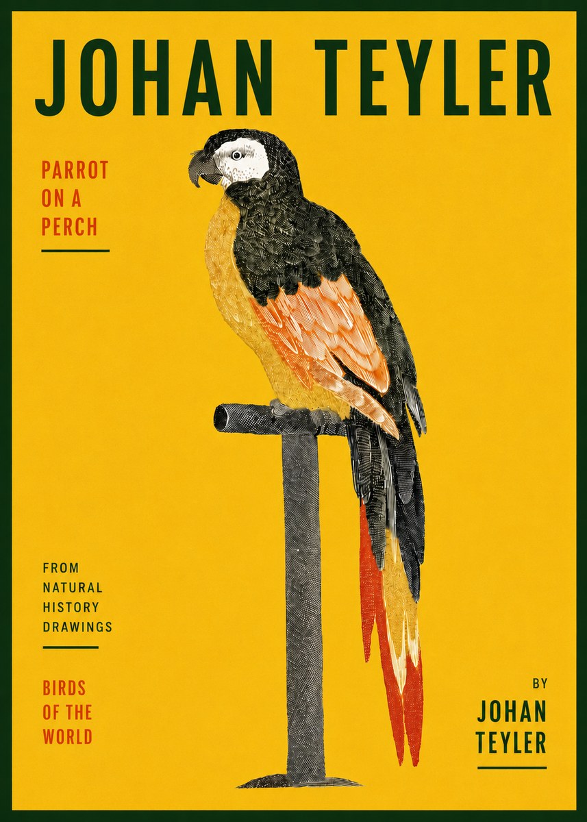 Johan Teyler Parrot on a Perch No5 - Juliste