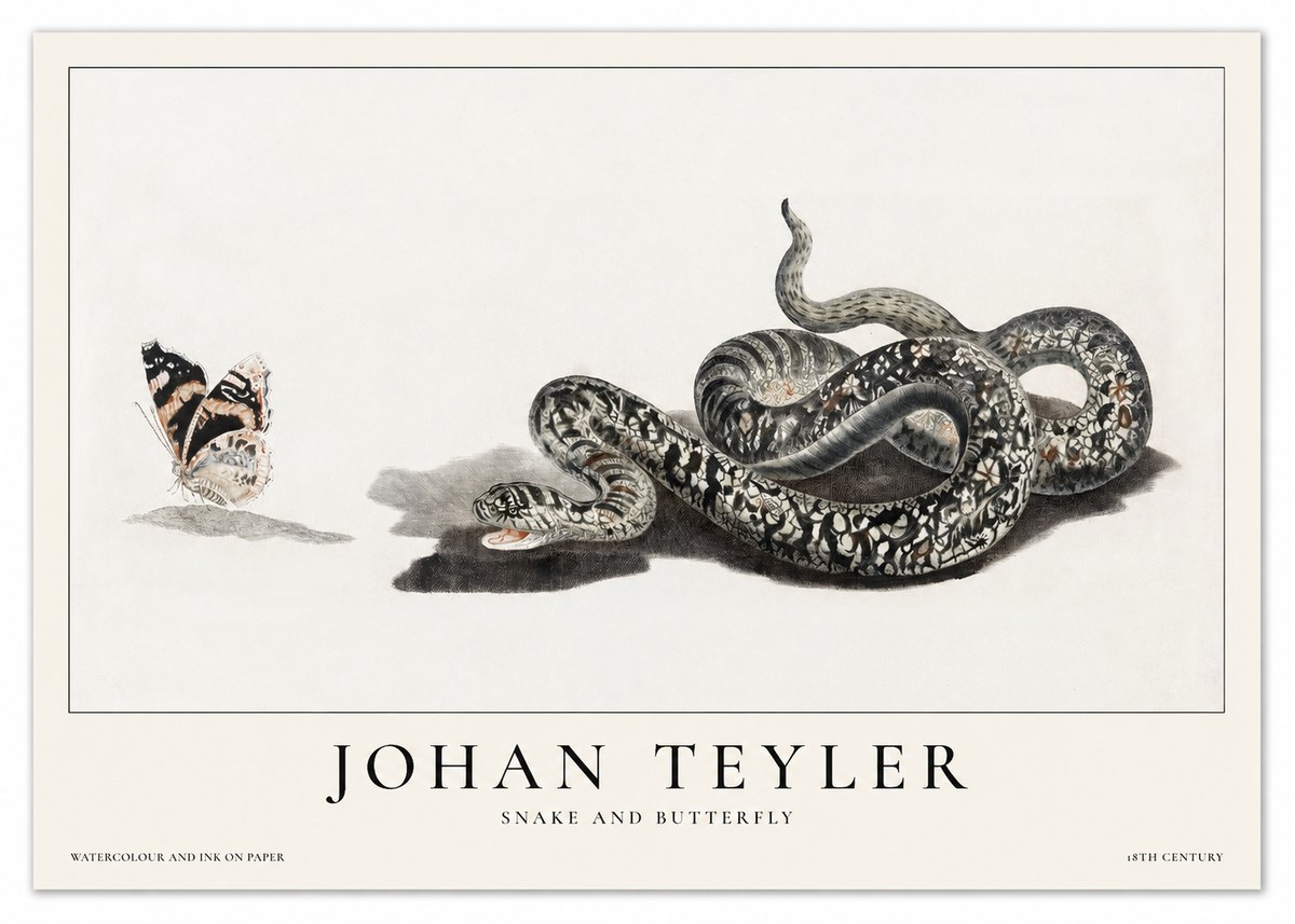 Johan Teyler Snake and Butterfly No1 - Juliste