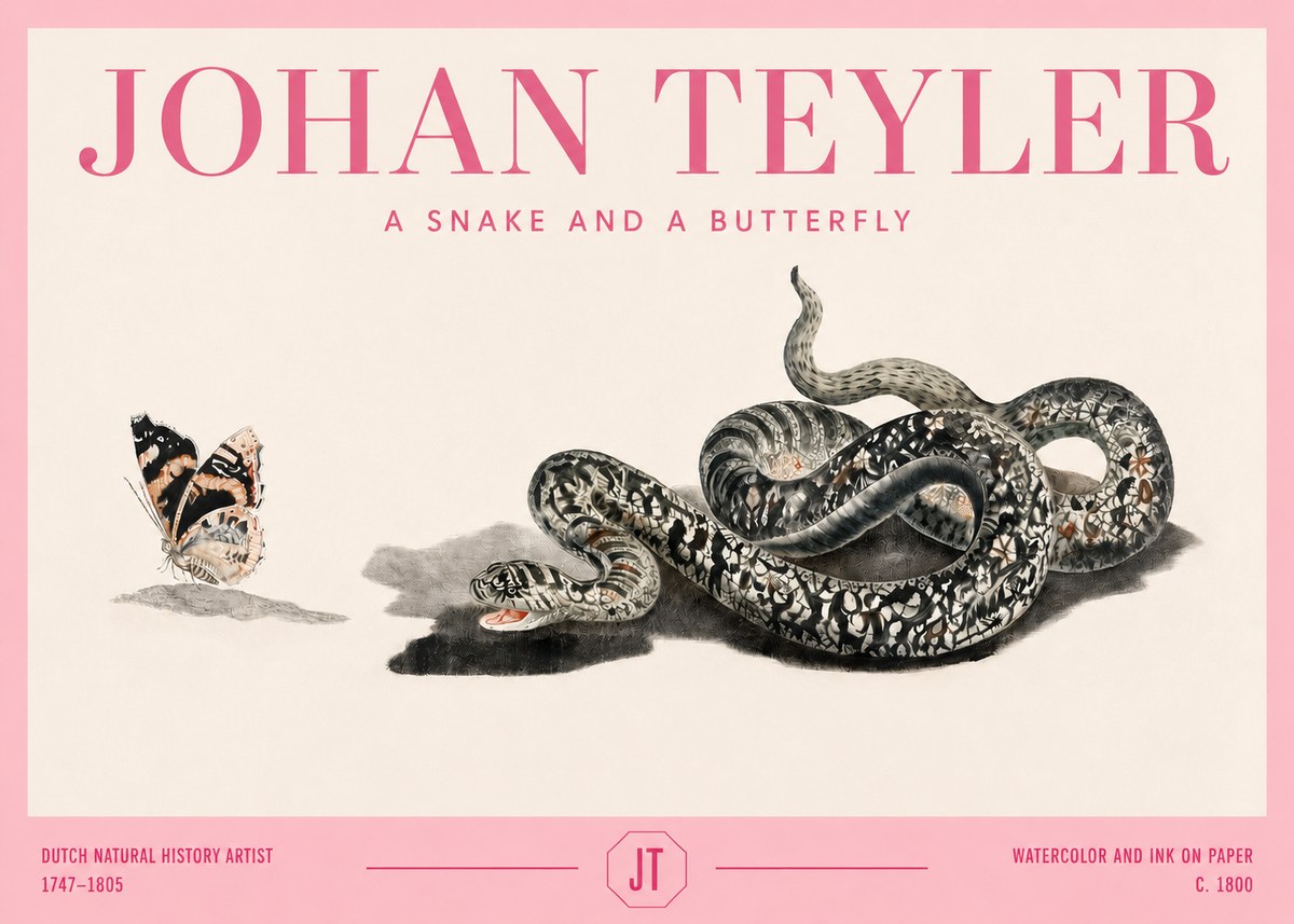 Johan Teyler Snake and Butterfly No4 - Juliste