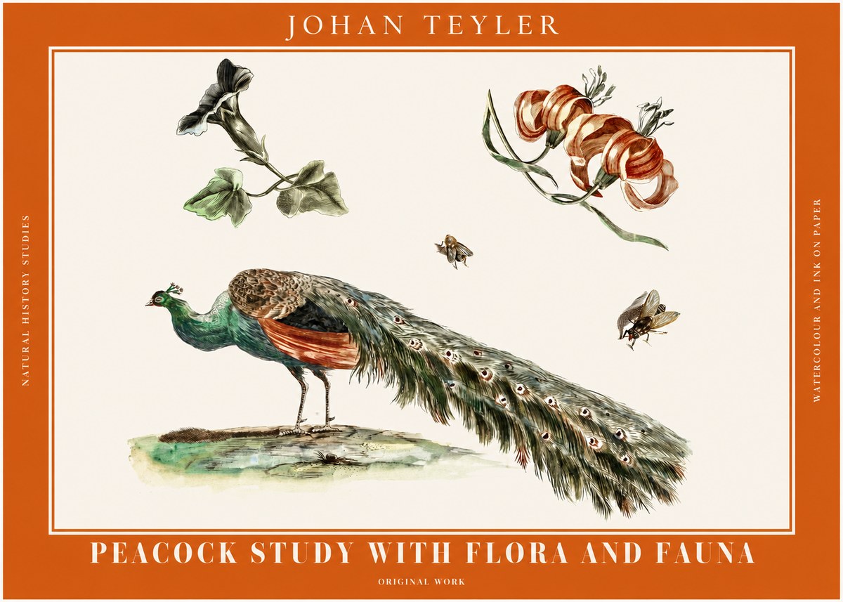 Johan Teyler Peacock Study with Flora and Fauna No2 - Juliste