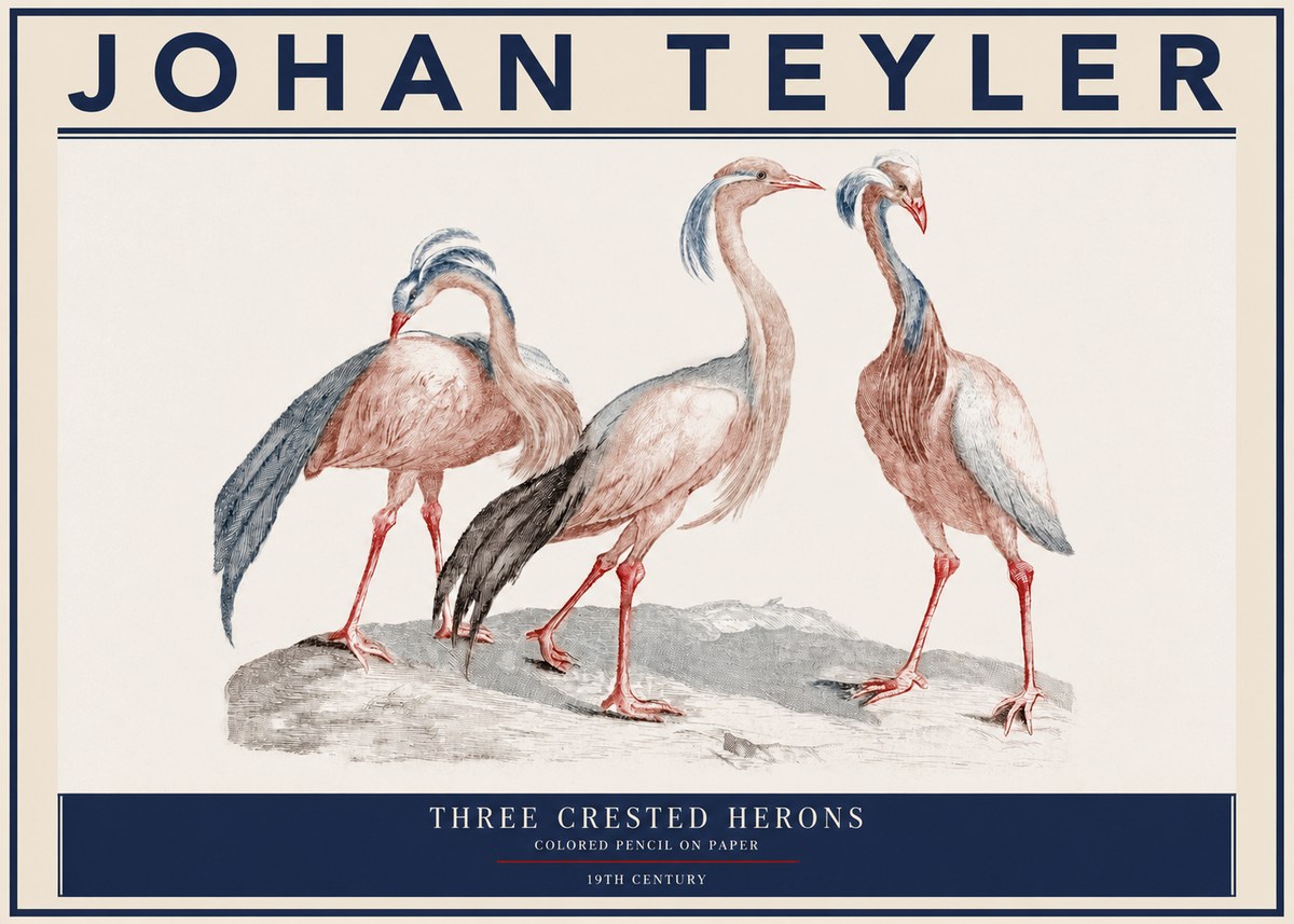 Johan Teyler Three Crested Herons No3 - Juliste