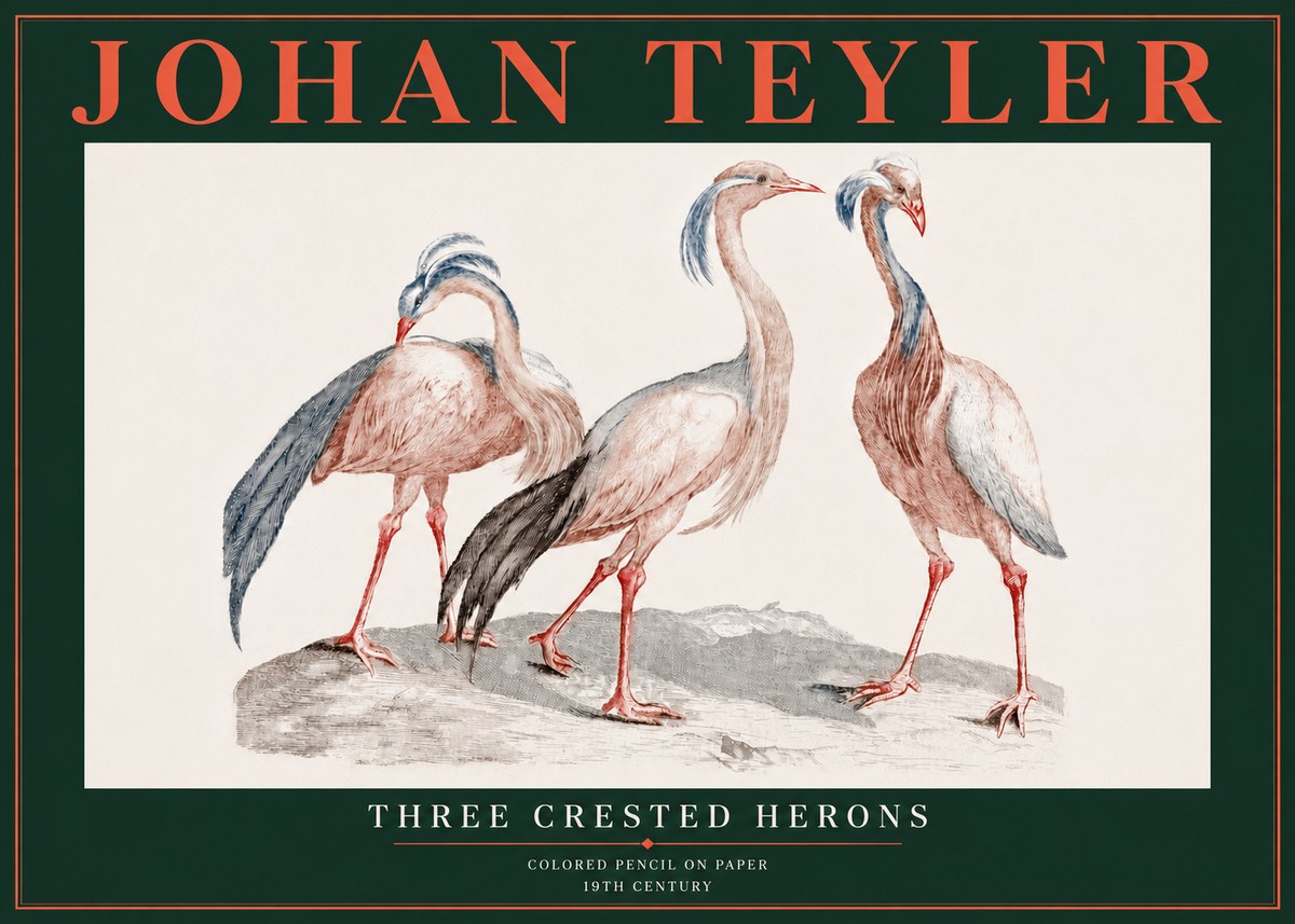 Johan Teyler Three Crested Herons No5 - Juliste