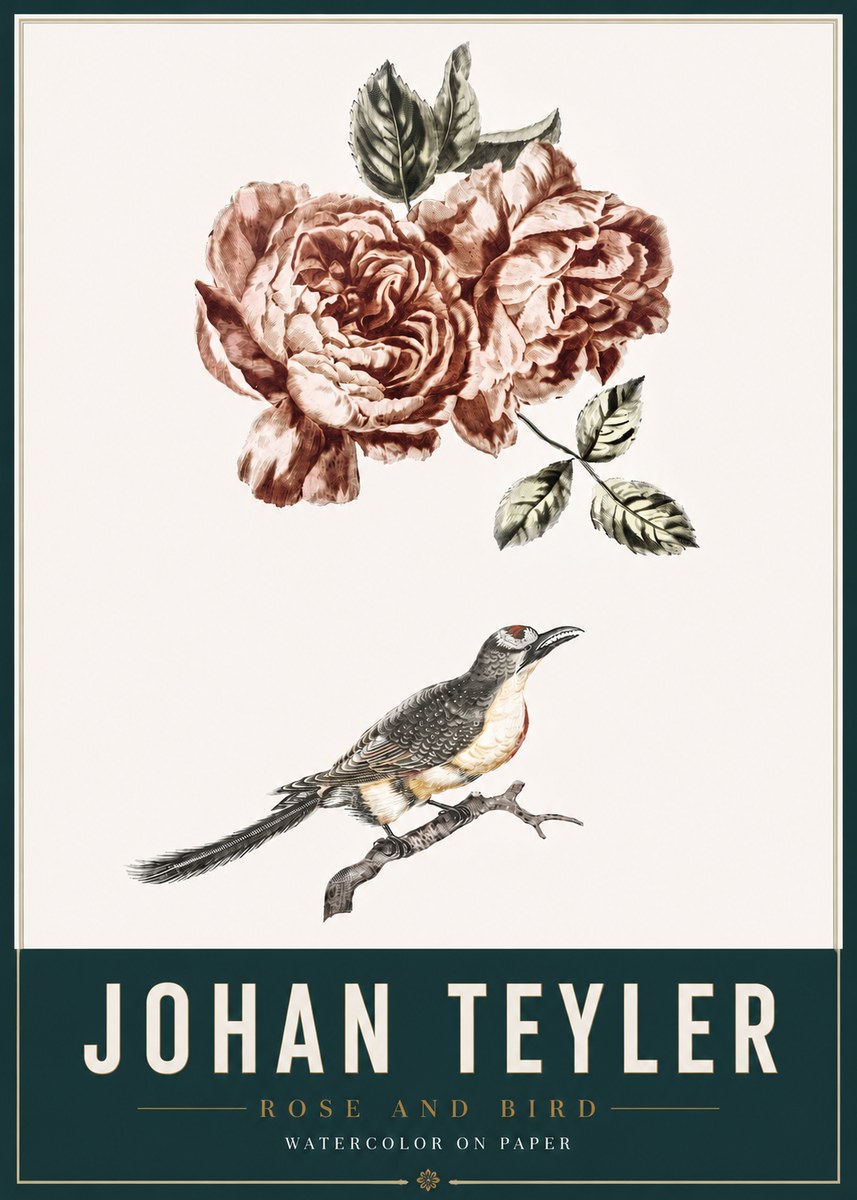 Johan Teyler Rose and Bird II No3 - Juliste