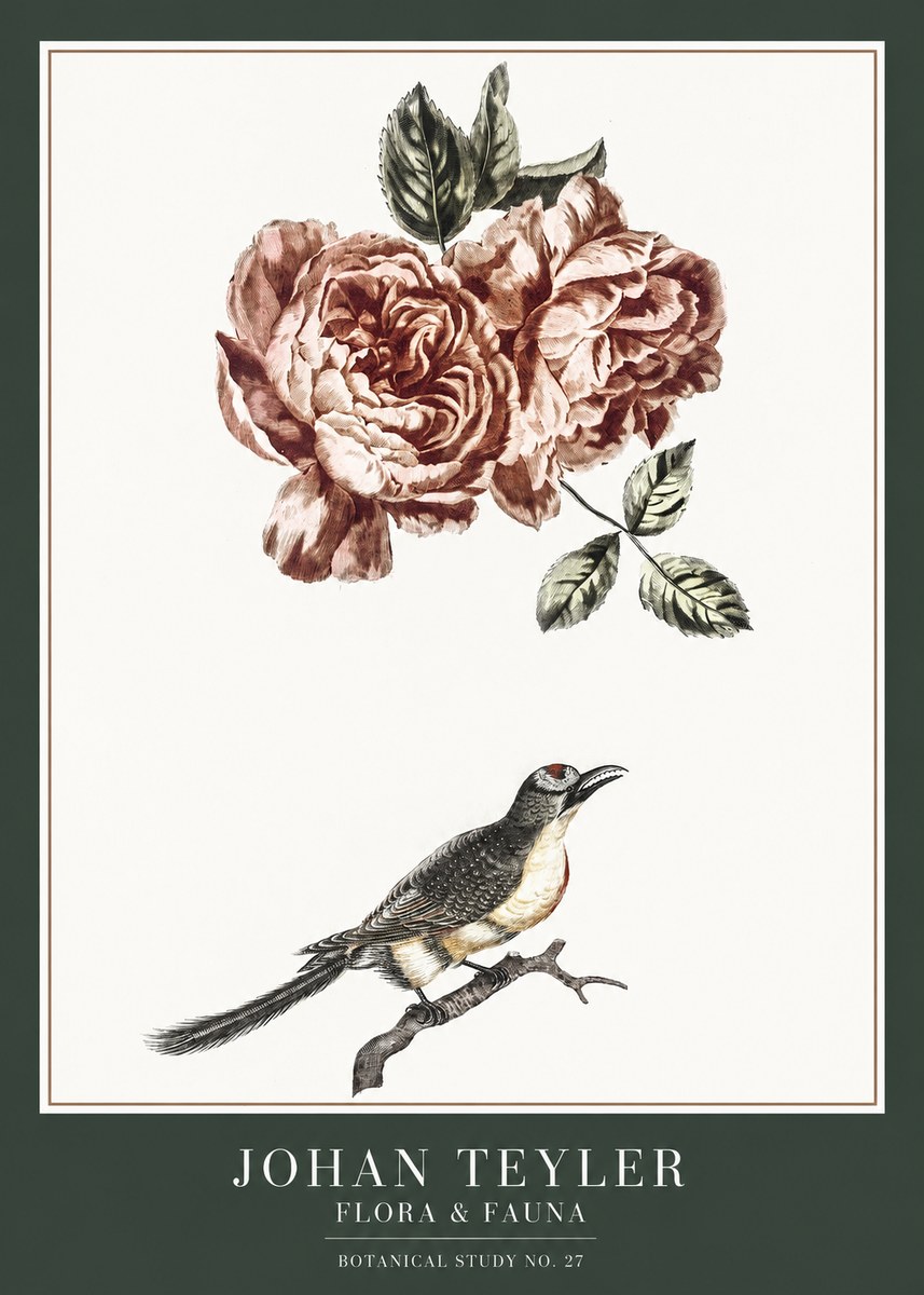 Johan Teyler Rose and Bird II No6 - Juliste