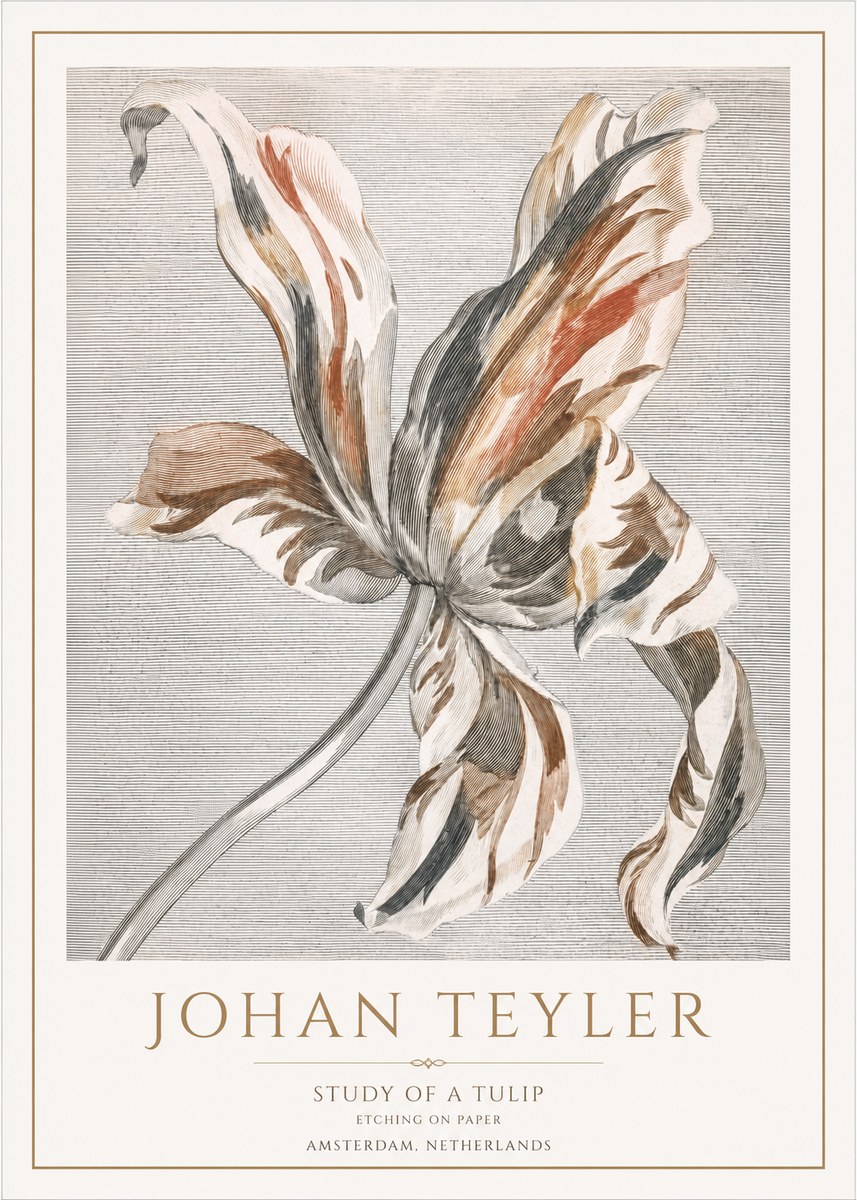 Johan Teyler Study of a Tulip No1 - Juliste