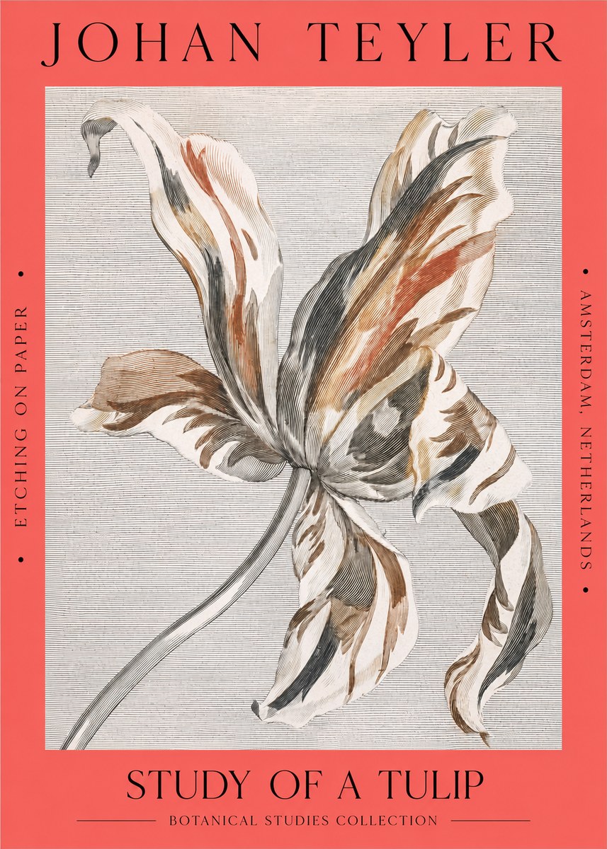 Johan Teyler Study of a Tulip No2 - Juliste