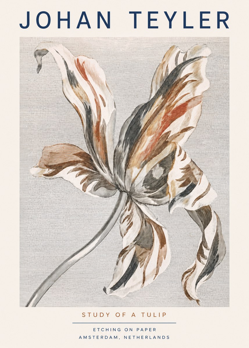 Johan Teyler Study of a Tulip No3 - Juliste