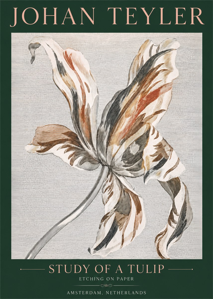Johan Teyler Study of a Tulip No4 - Juliste