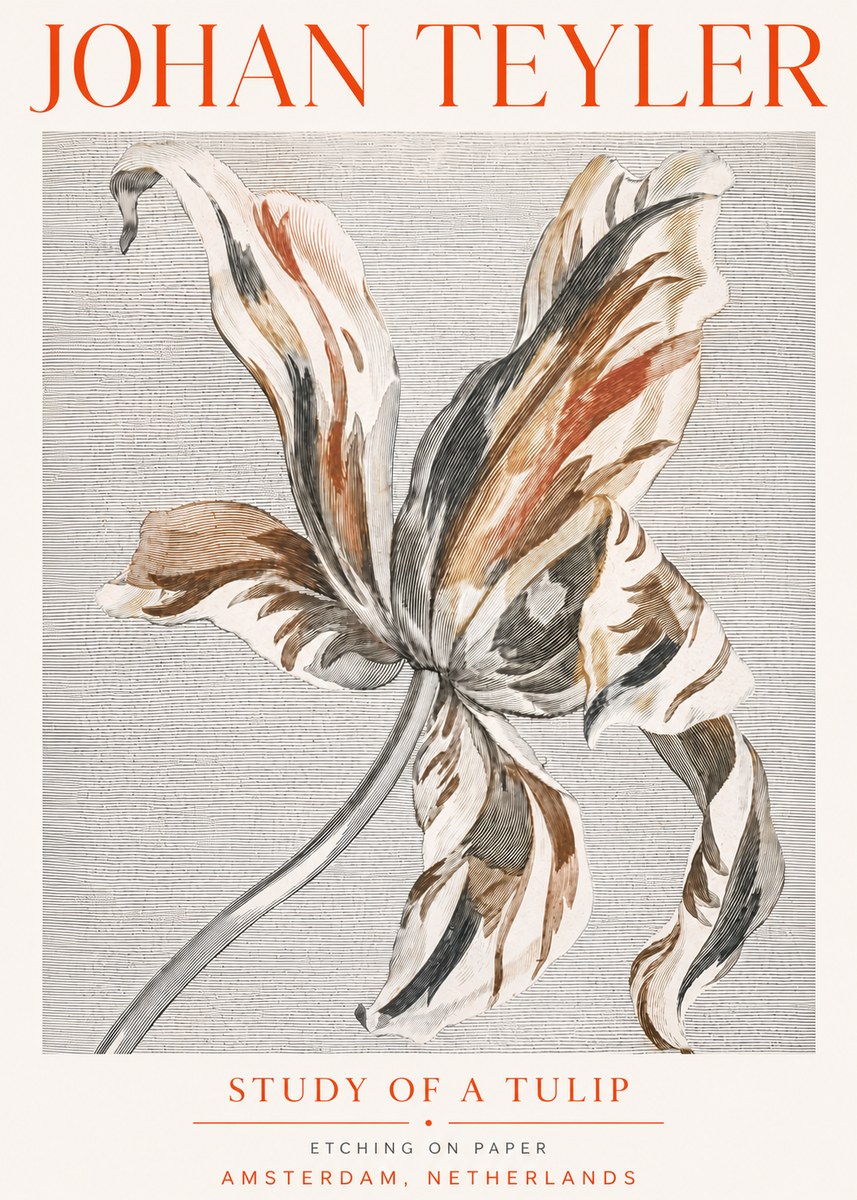 Johan Teyler Study of a Tulip No5 - Juliste