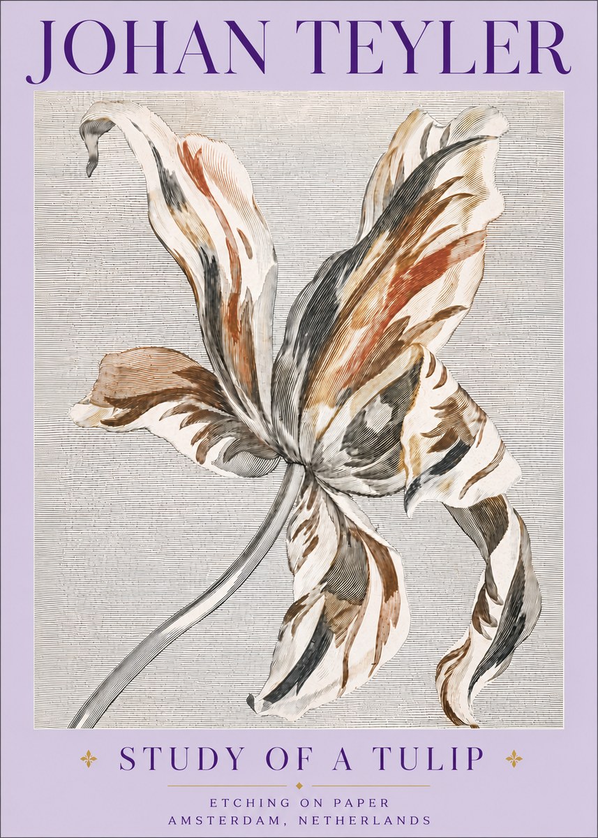 Johan Teyler Study of a Tulip No6 - Juliste