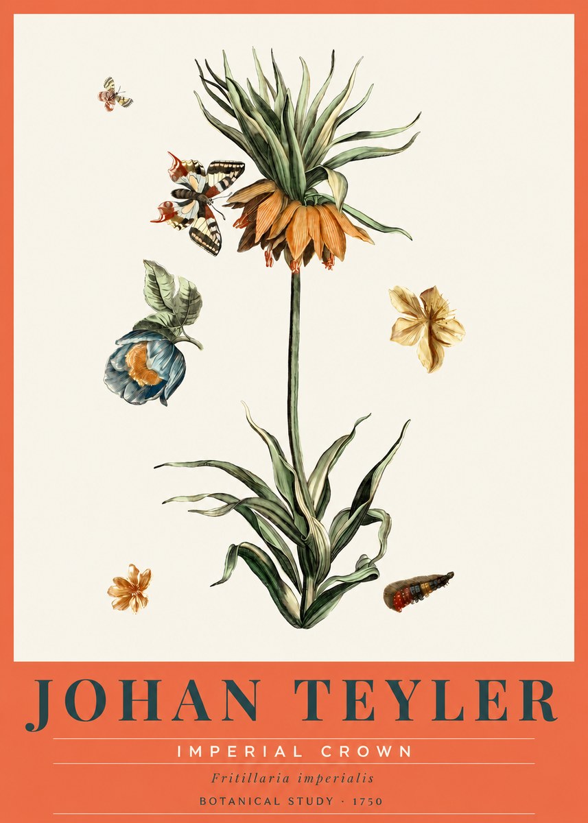 Johan Teyler Crown Imperial No3 - Juliste