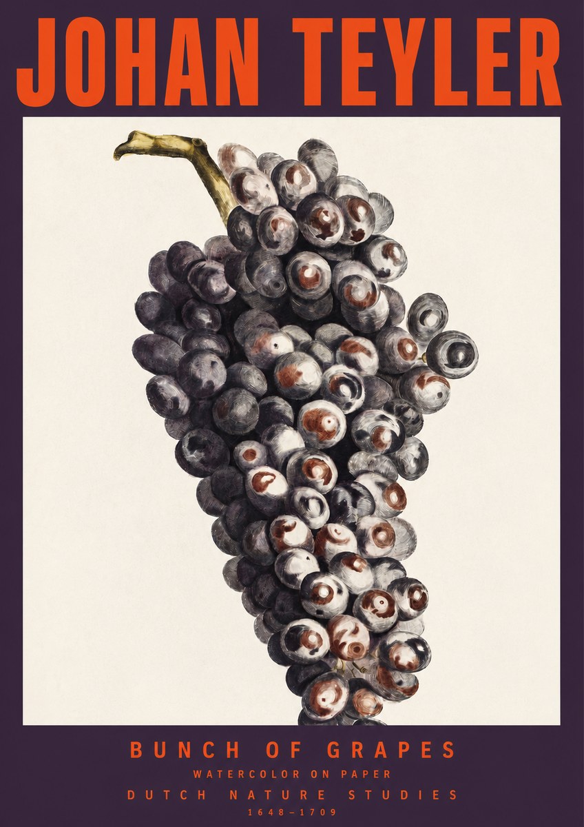 Johan Teyler Bunch of Grapes No2 - Juliste