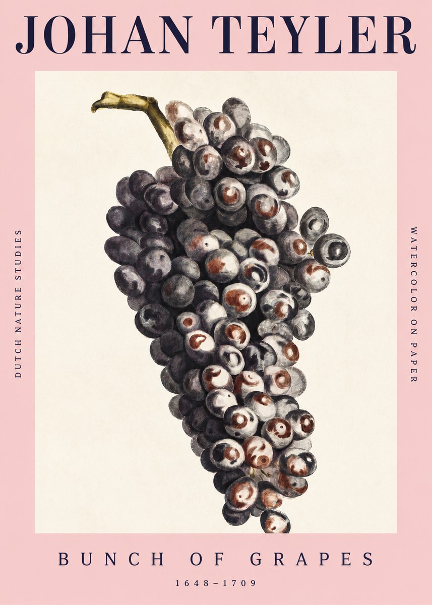 Johan Teyler Bunch of Grapes No4 - Juliste