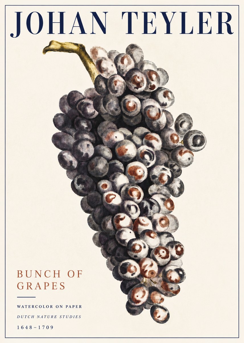 Johan Teyler Bunch of Grapes No5 - Juliste