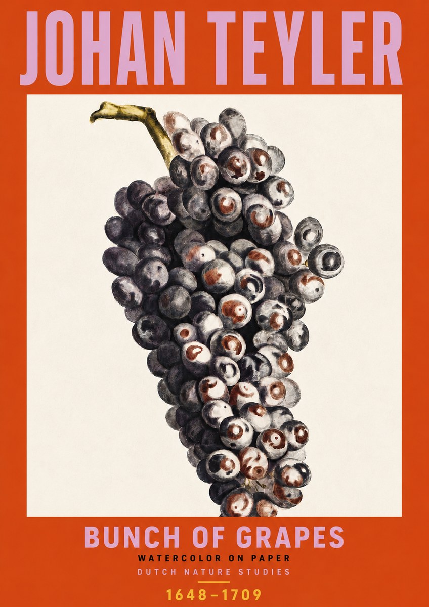 Johan Teyler Bunch of Grapes No6 - Juliste