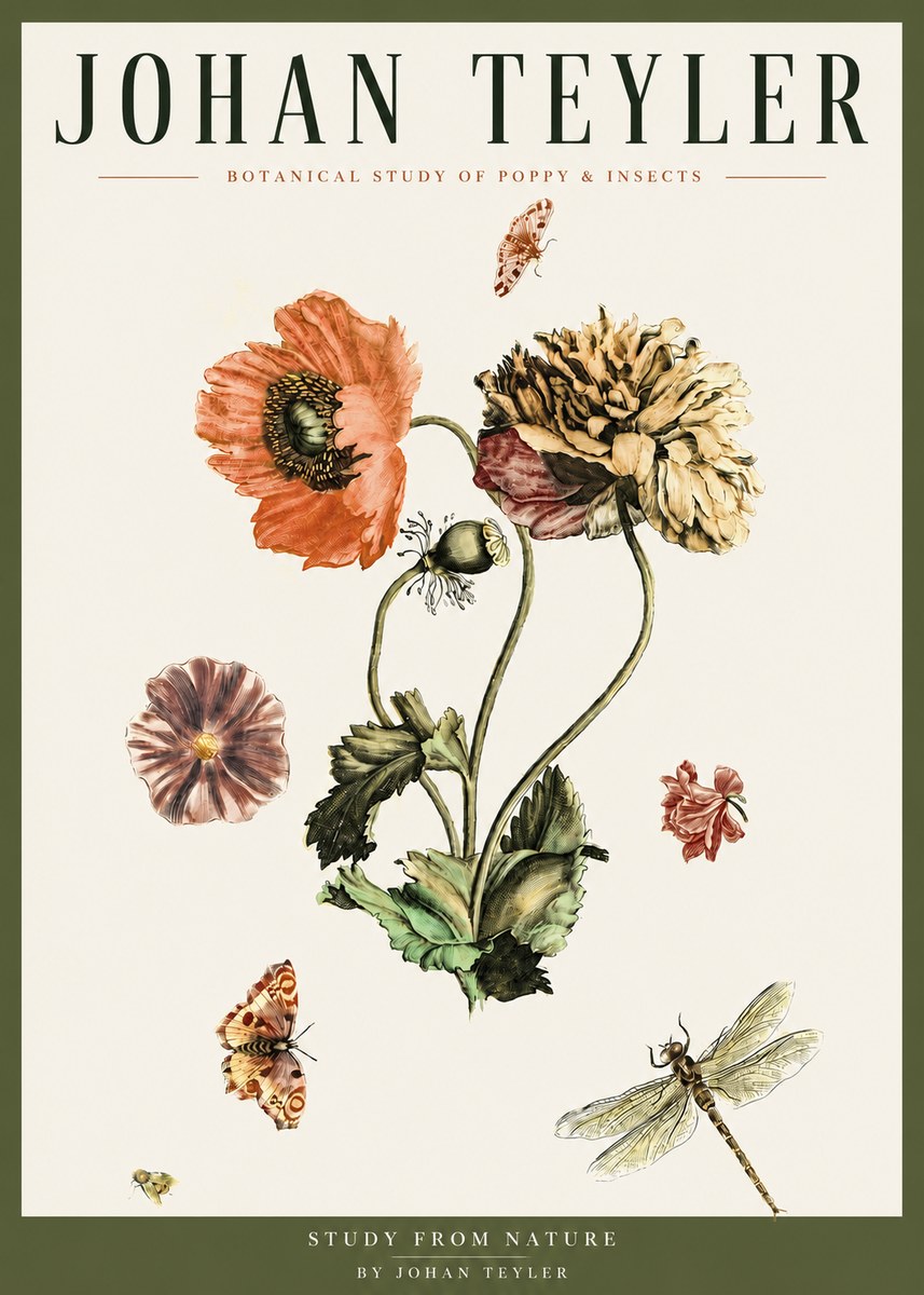 Johan Teyler Botanical Study of Poppy & Insects No3 - Juliste