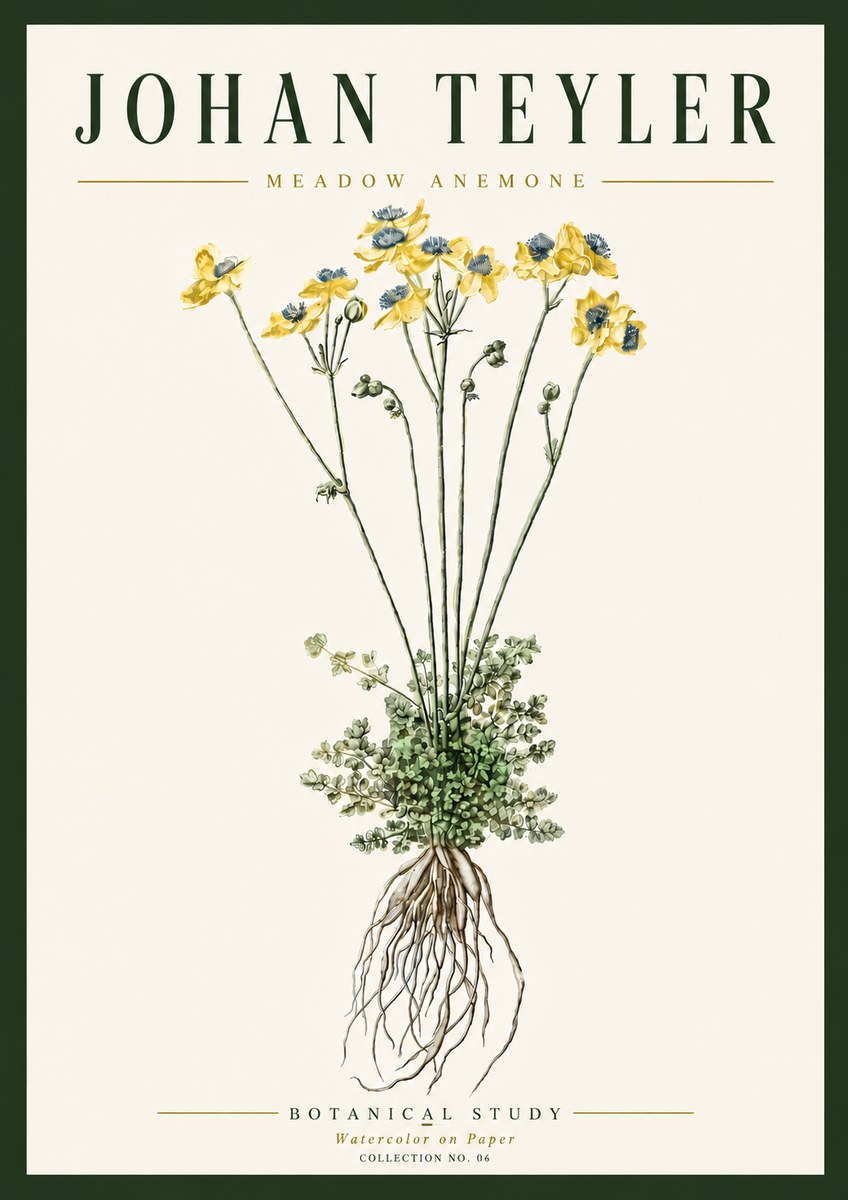 Johan Teyler Meadow Anemone No6 - Juliste