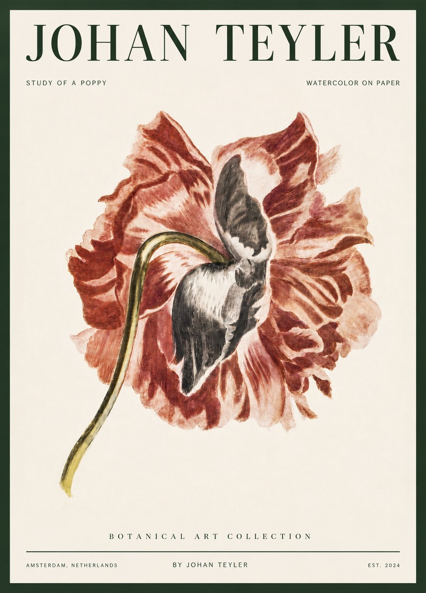 Johan Teyler Study of a Poppy No3 - Juliste