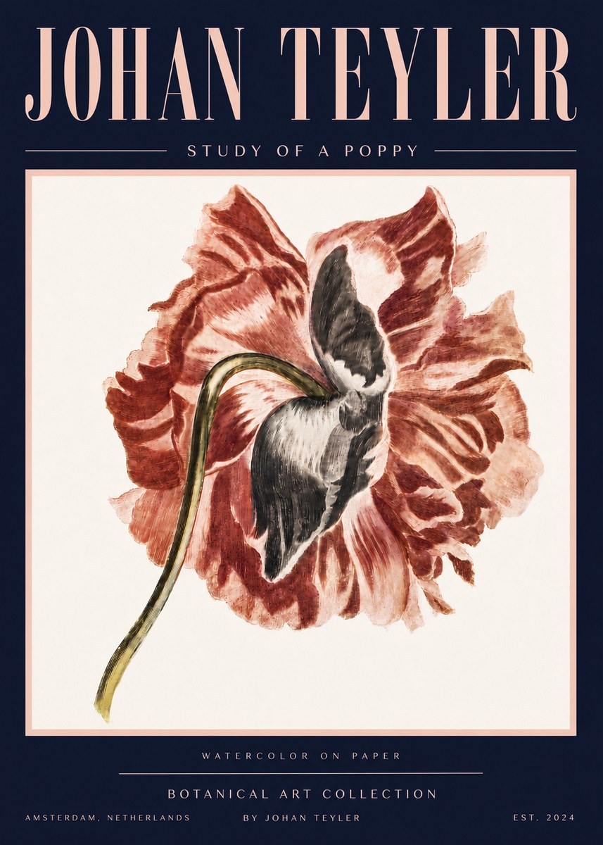 Johan Teyler Study of a Poppy No4 - Juliste